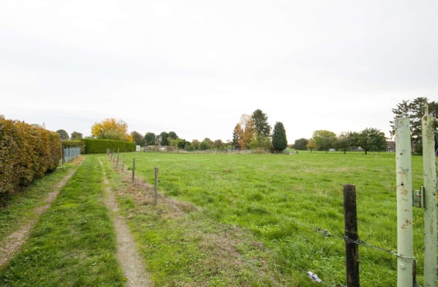 Umgebung