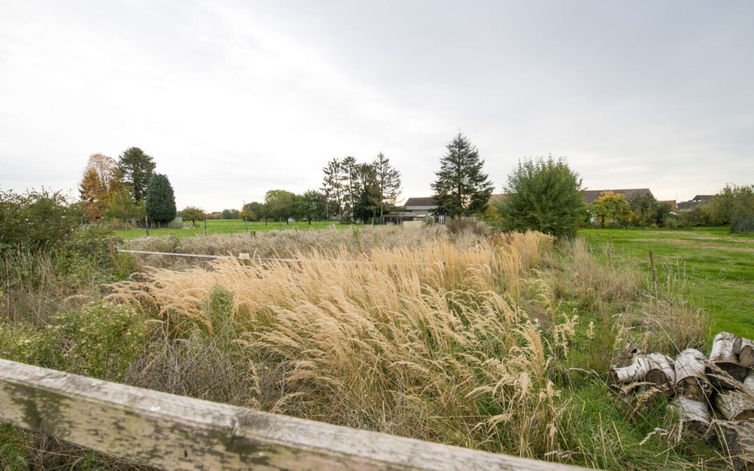 Teilbares Baugrundstück in ländl. Lage von Kückhoven