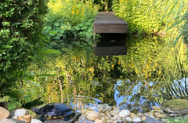 Garten Ansicht 2