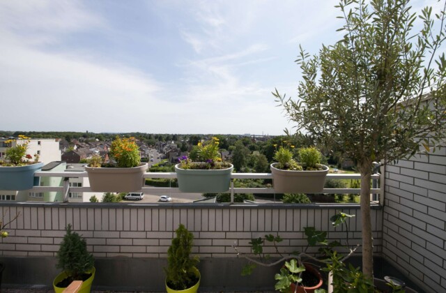 Aussicht 2