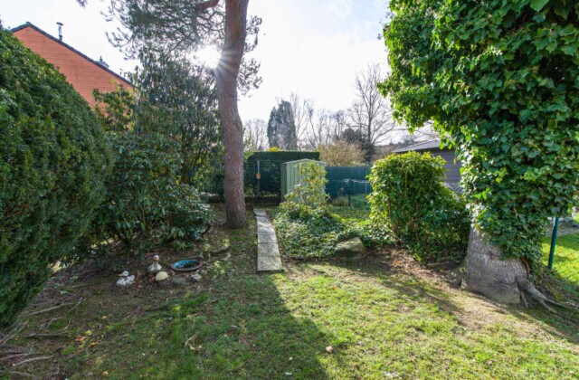 hinterer Garten